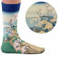 Preview: Socken Fuji 1